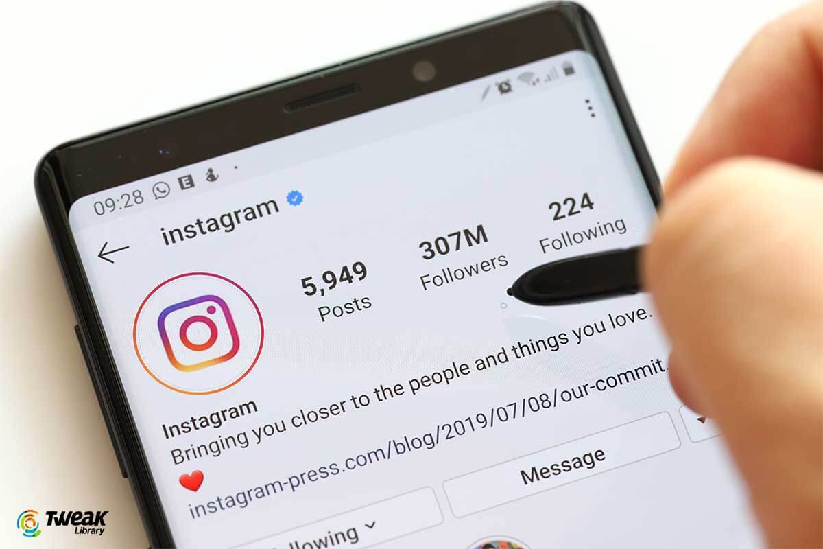 10 Best Instagram Followers Apps To Track Analytics, Schedule & More