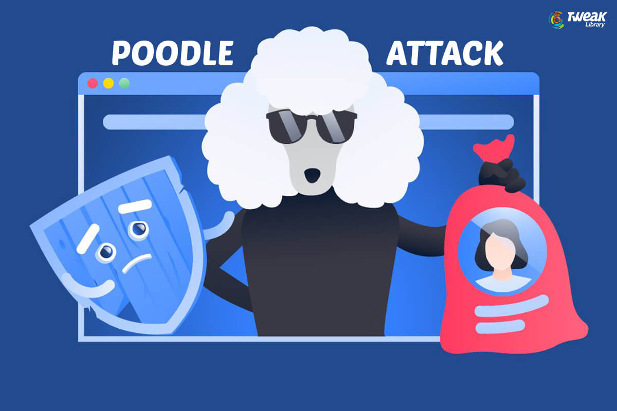 Poodle Attack – What is It and How Can You Safeguard Yourself?